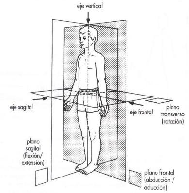 ejes y planos del movimiento