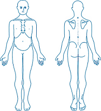 posicion anatomica